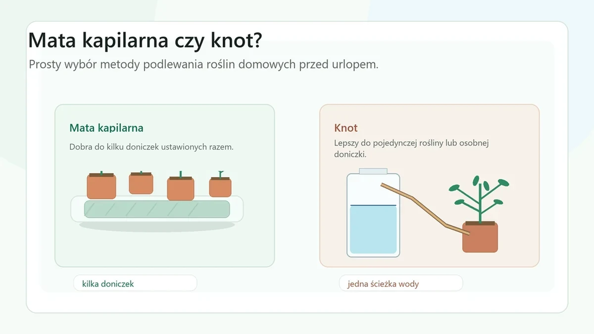 Mata kapilarna czy knot? Co wybrać do roślin domowych