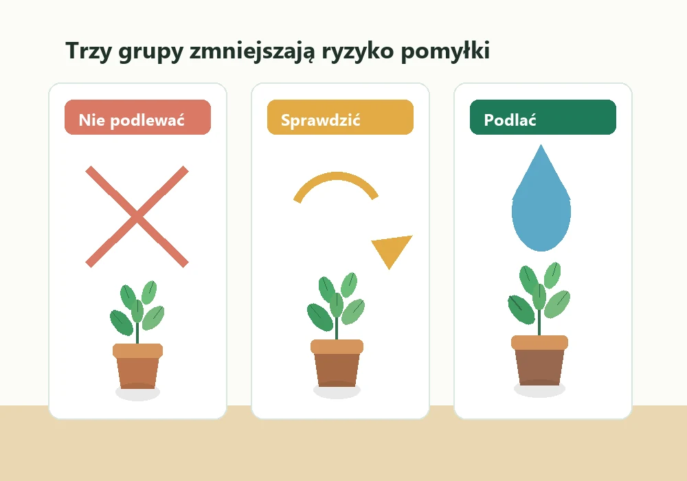 Rośliny podzielone na trzy grupy: nie podlewać, sprawdzić i podlać